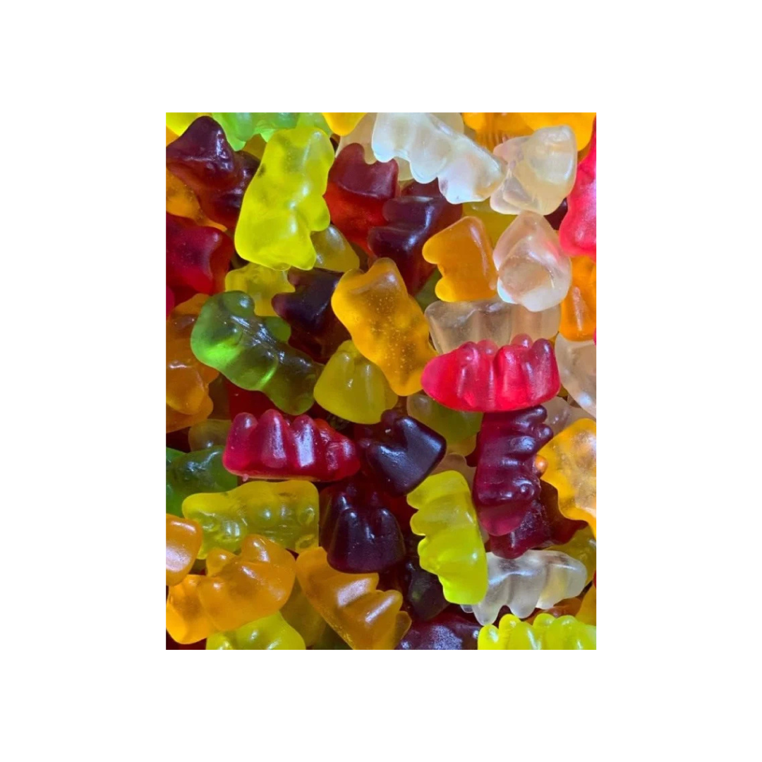 FRISIA SUGAR FREE BEARS (100G)